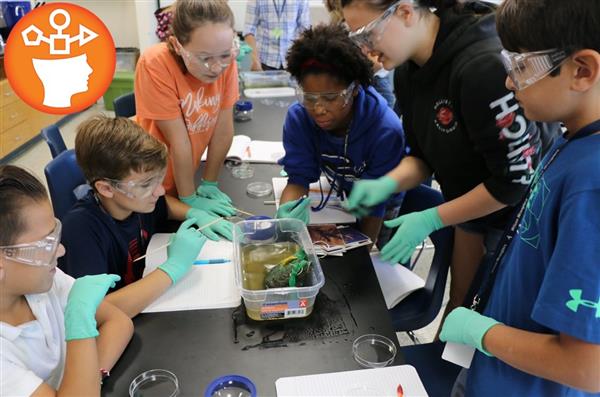Group of students doing biology project